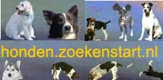 De honden pagina van zoekenstart.nl